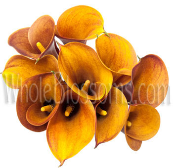 Mango Orange