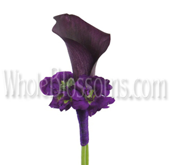 Calla Lily Extravaganza Boutonniere