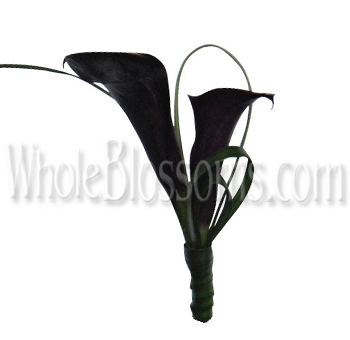 Calla Lily Grand Cru Boutonniere