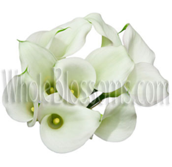 Crystal White