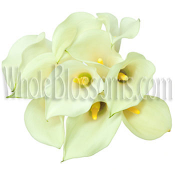 Crystal White