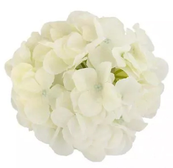 Natural White