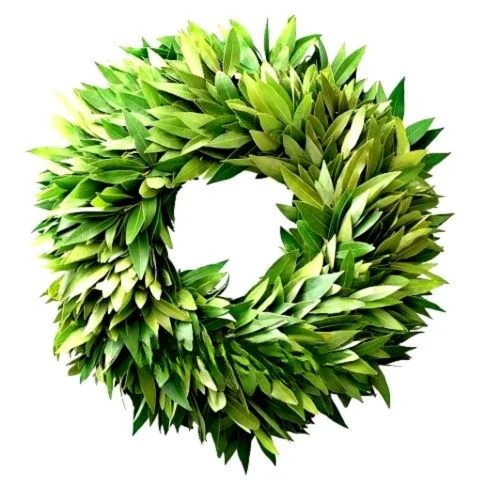 Elegant Bayleaf Wreath featuring fresh, vibrant green bay leaves, perfect for holiday door or mantel décor.