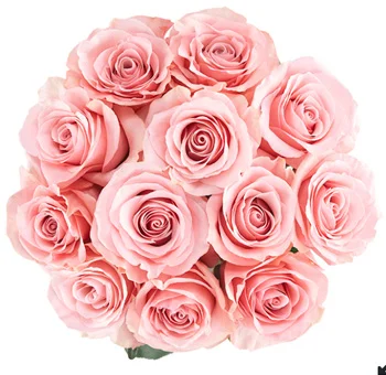 Freshly cut Be Sweet roses in soft pink tones, arranged in a lush bouquet for DIY wedding floral designs and bulk orders.