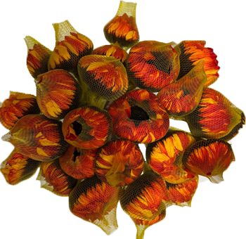 Charming red sunflowers arranged for fall events, crafting a naturally striking look that complements the warm tones of autumn-themed weddings and parties.