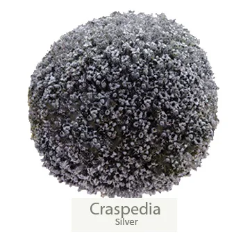 Dazzling silver craspedia in exquisite floral bundle.