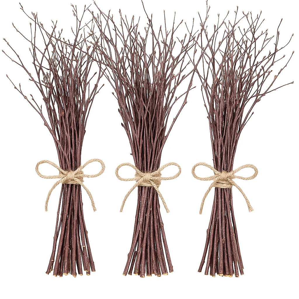 Artistic bundles of reddish birch twigs tied with twine, curved outward for visual texture, displayed cleanly on a white background.