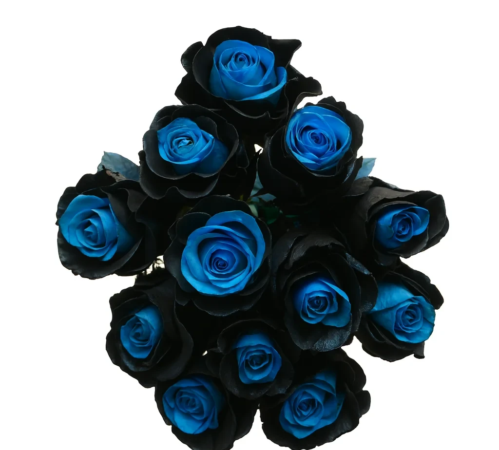 Striking bouquet of black and blue roses with vibrant petals, perfect for unique weddings, events, or gothic floral arrangements.