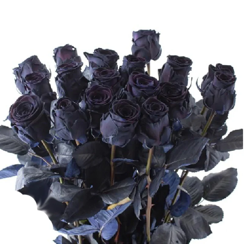 Richly hued fresh black roses arranged in a lavish bouquet, perfect for adding a moody elegance to Halloween events and décor.