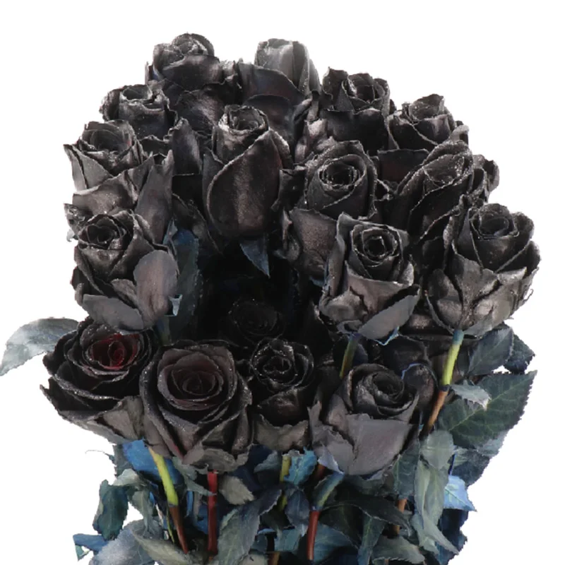 Luxurious bouquet of fresh black roses in bulk, offering a striking and sophisticated touch to weddings, events, and spooky gatherings.