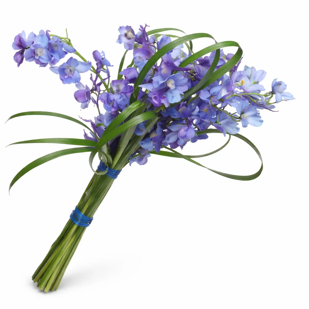 Blue delphinium bridesmaid bouquet with soft tones, ideal for weddings, gifts, and elegant styling.
