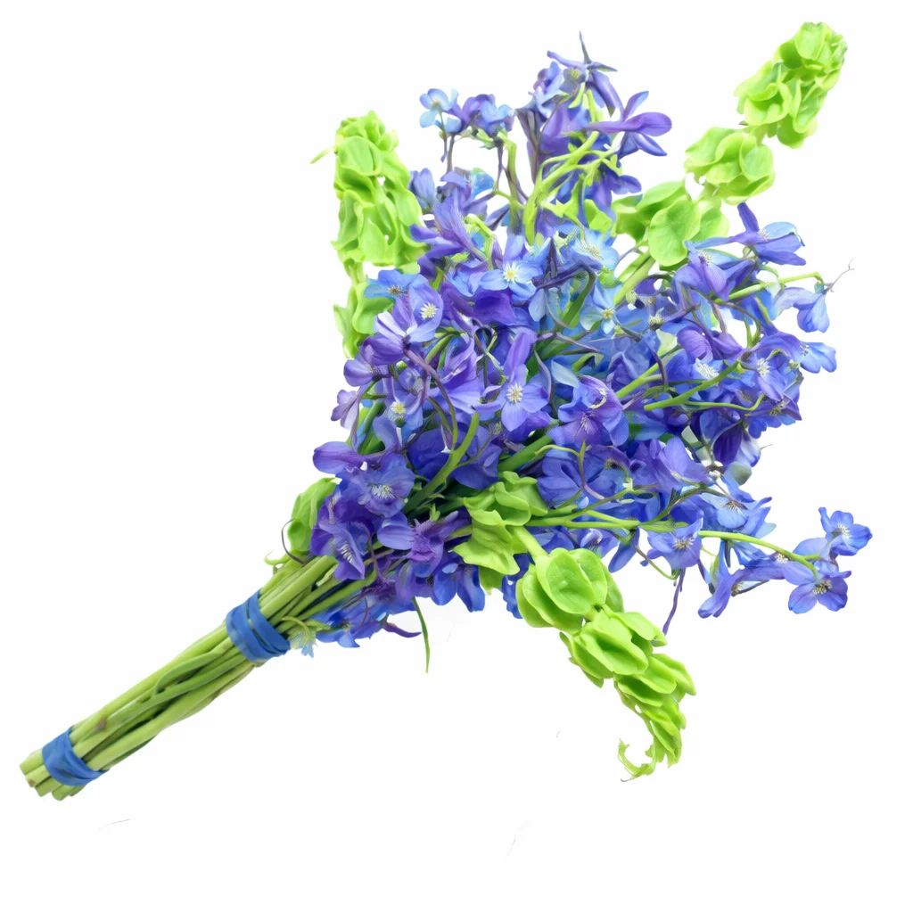 Blue Hand-Tied Delphinium Bridal Bouquet