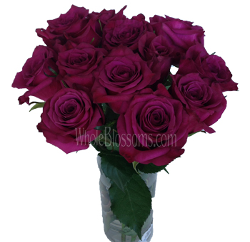 BlueBerry Fresh Cut Roses with deep purple velvety petals and berry undertones, perfect for weddings, formal events, and elegant floral arrangements.