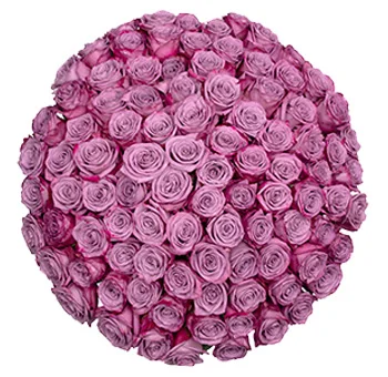 Elegant bouquet of fresh lavender roses perfect for weddings and events, symbolizing love and grace, available at affordable wholesale prices.