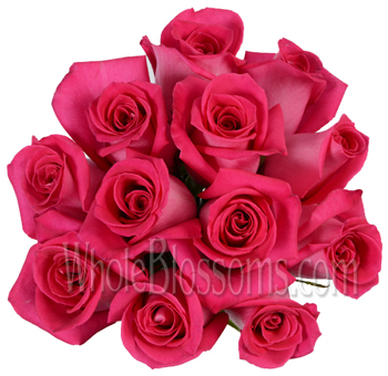 Luxe Topaz hot pink roses with radiant hues, ideal for bridal bouquets, vibrant wedding florals, and floral design statements.