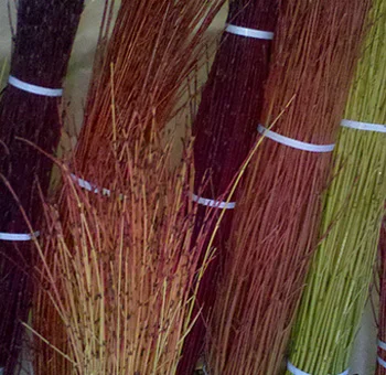 Bundles of dried branches in various shades of brown, red, and green, perfect for use in rustic floral arrangements or natural décor.