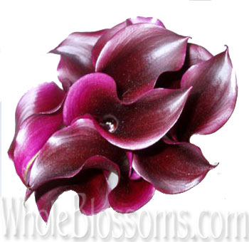 Dark Purple Calla lilies Long