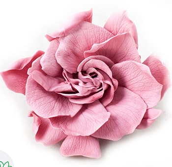 Blush pink gardenias with cherry blossom tones in a keepsake box, ideal for weddings, anniversaries, and luxe floral gifts.