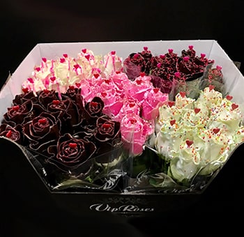 Fragrant Roses Choco Berry Gift featuring chocolate-scented roses in pink, white, and brown hues, perfect for romantic and special occasions. 