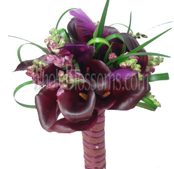 Chocolate Mini Callas Ready To Go