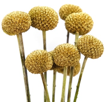 Bulk gold glitter Billy Balls for wedding centerpieces, festive décor and elegant event floral arrangements
