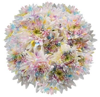 Cupcake White Flowers