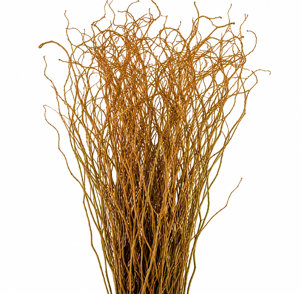 Curly Willow Tips in bulk for wedding centerpieces, floral arrangements, event décor, and wholesale floral designs.