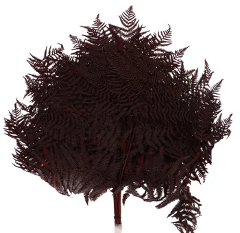 Dried Bracken Fern in bulk, perfect for wedding décor, rustic arrangements, centerpieces, and event styling.