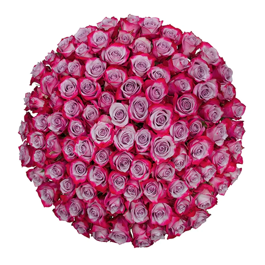Wholesale Deep Purple Lavender Roses for brides and designers, offering rich color and elegant style for wedding bouquets and centerpieces.