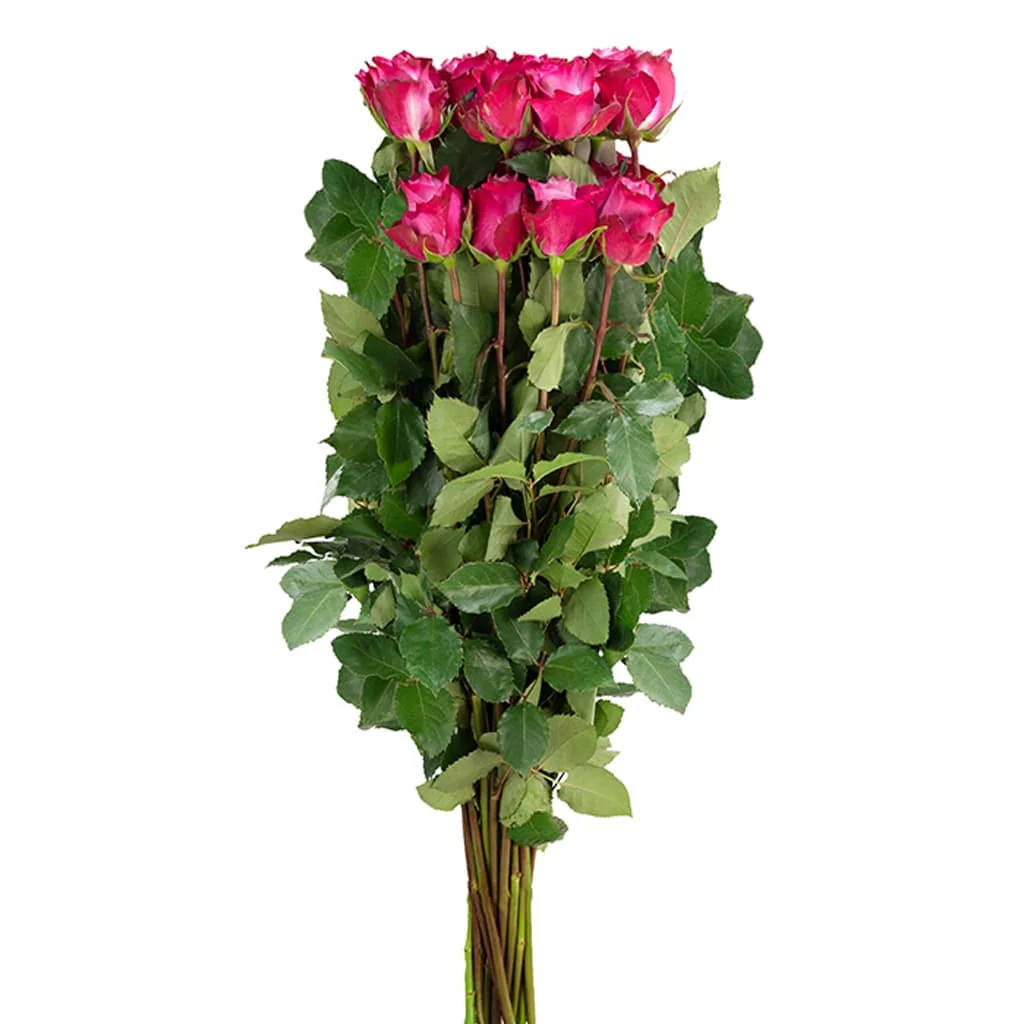 Bulk Deep Purple Lavender Roses for premium wedding flowers, ideal for adding a dramatic and romantic touch to any celebration.