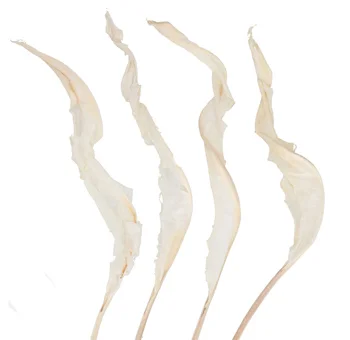 Tropical Bird of Paradise leaves in bulk at wholesale prices—ideal greenery for weddings, centerpieces, and floral arrangements with next day delivery.