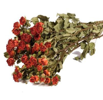 Dried Roses Spray - Orange Dried Roses Spray - Orange