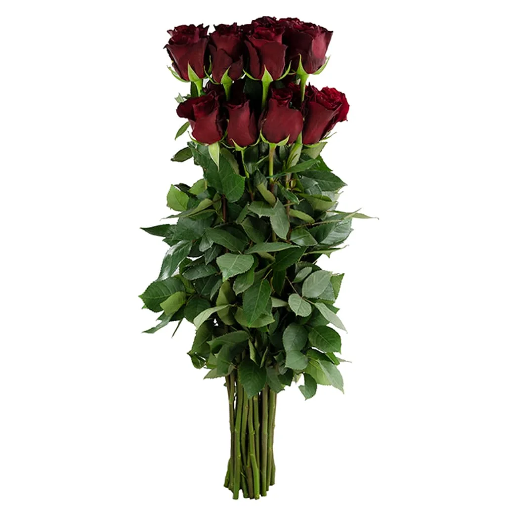 Bulk Explorer Red Roses for weddings, premium event flowers, and romantic floral décor—trusted by florists and event planners.