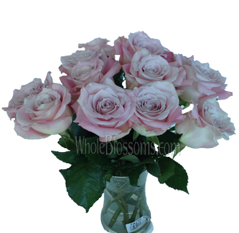 Faith Lavender Rose for Wedding Bouquets and Flower Arrangement.