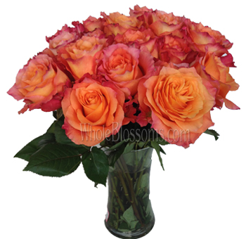 Bouquet of Free Spirit Orange Roses in a glass vase, showcasing vibrant orange petals fading to pink, perfect for weddings, events, and decorative arrangements.