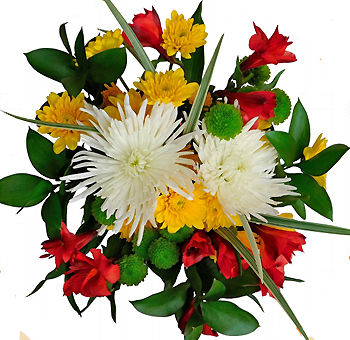Enchanted autumn centerpiece with white spider mums, lily grass, red alstroemeria, yellow poms, green poms, and ruscus.