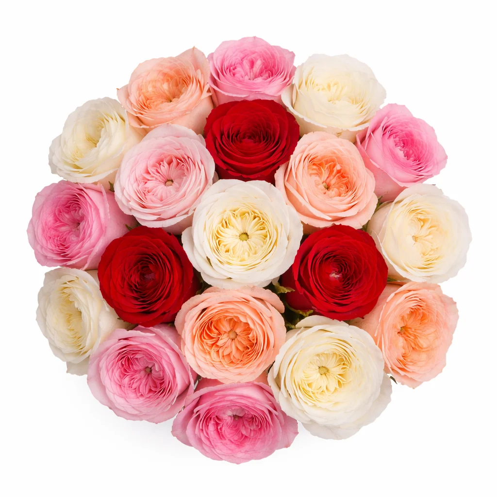bulk garden roses by variety for wedding flowers and luxury floral arrangements.