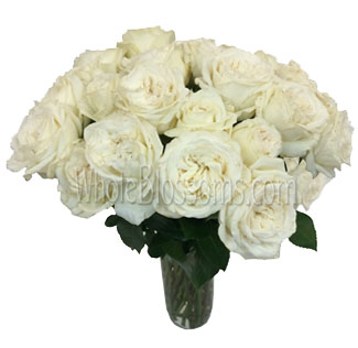 Premium white garden roses for wedding bouquets, centerpieces, and event floral designs.