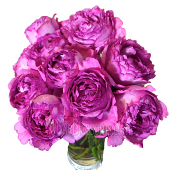 Bulk order of Pretty In Pink Garden Roses displayed for wedding floral use.