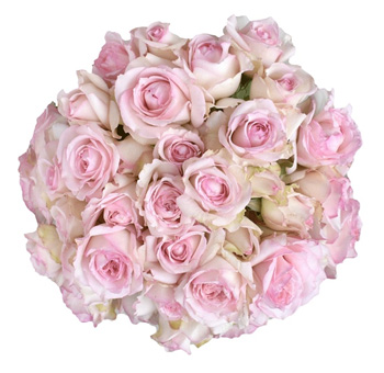 A romantic floral arrangement of Pink Wedding Romantica Spray Roses, perfect for weddings and celebrations.