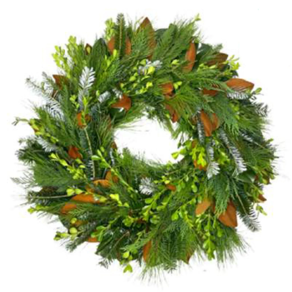 Ginger Bread Man Wreath with Boxwood, Magnolia, Leyland Cypress, Pine, and Fraser Fir.