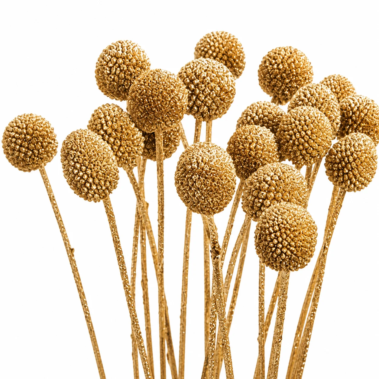 Gold glitter Craspedia Billy Balls for wedding bouquets, centerpieces and luxury floral arrangements