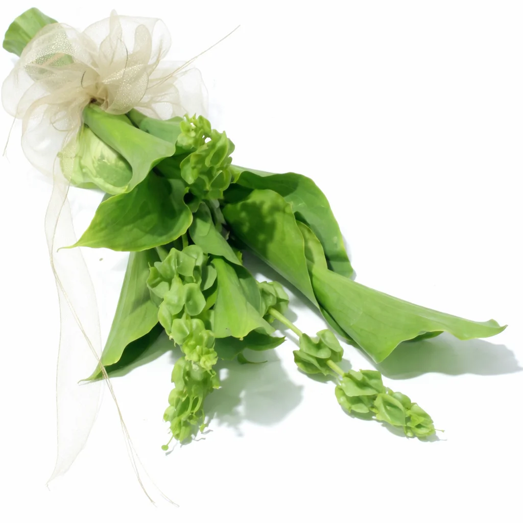 Green Hand-Tied Calla Bridal Bouquet