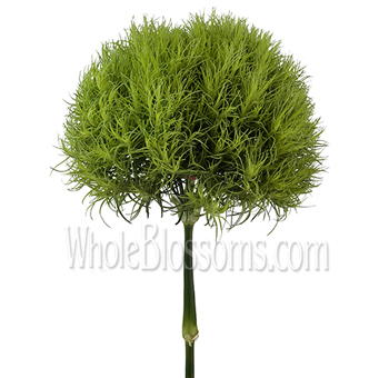 Green Ball Flowers