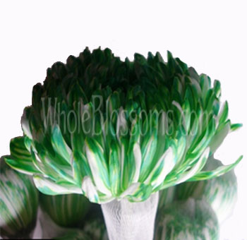 Green Football Mum