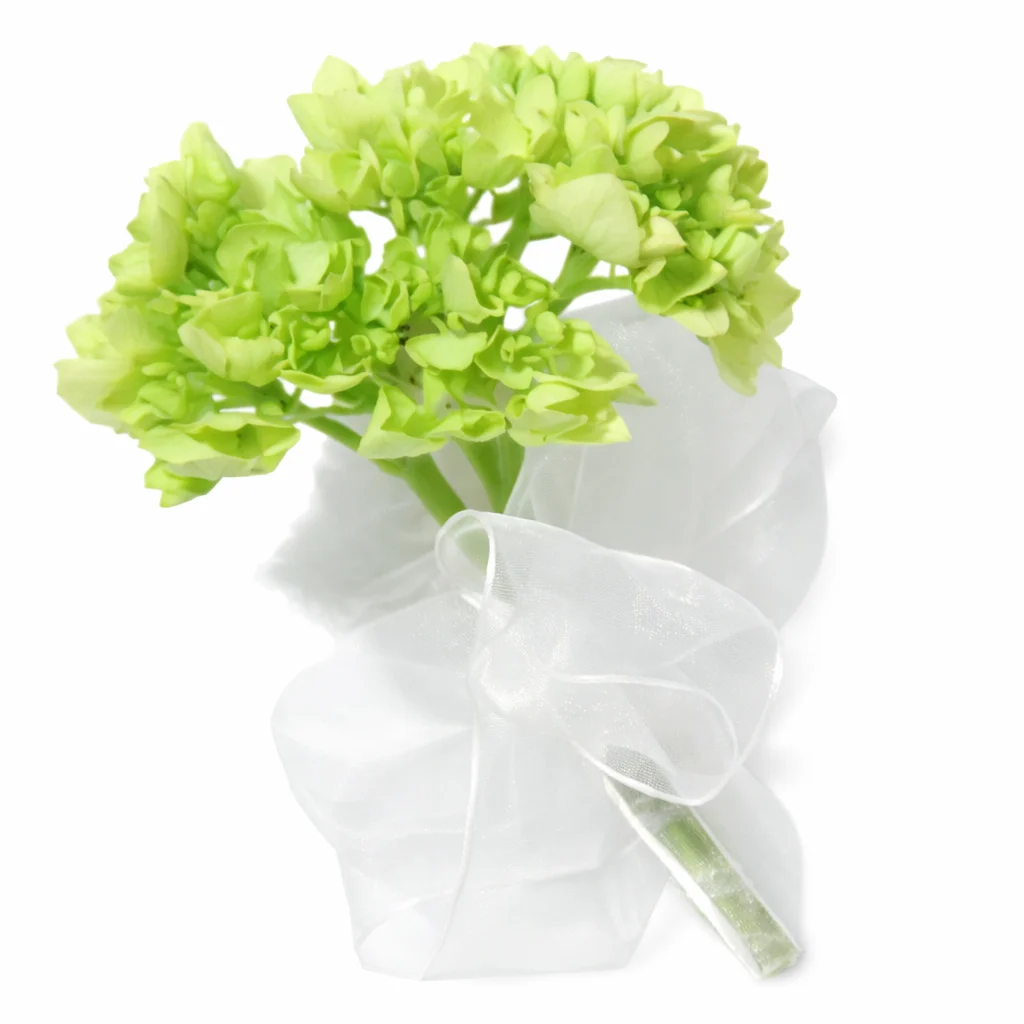 Green Hydrangea Corsage - Pin Green Hydrangea Corsage - Pin