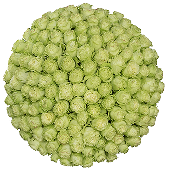 Luxurious pale green rose bouquet suited for glamorous wedding decor.
