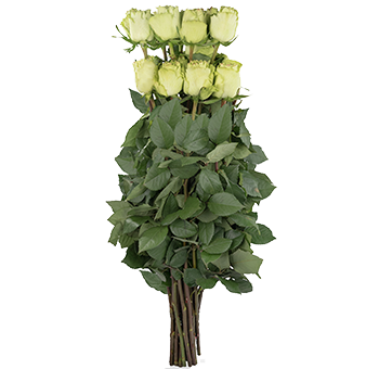 A fresh green rose bouquet perfect for elegant weddings and events at wholesale prices. 
