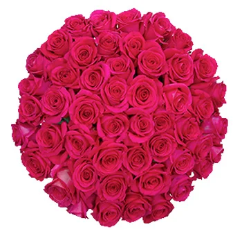 Vibrant hot pink roses bouquet for weddings and events, showcasing elegance, romance, and sophistication with luxurious floral beauty.