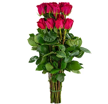 Elegant hot pink roses delivered straight to your door, ideal for weddings and events, radiating beauty, romance, and timeless sophistication.